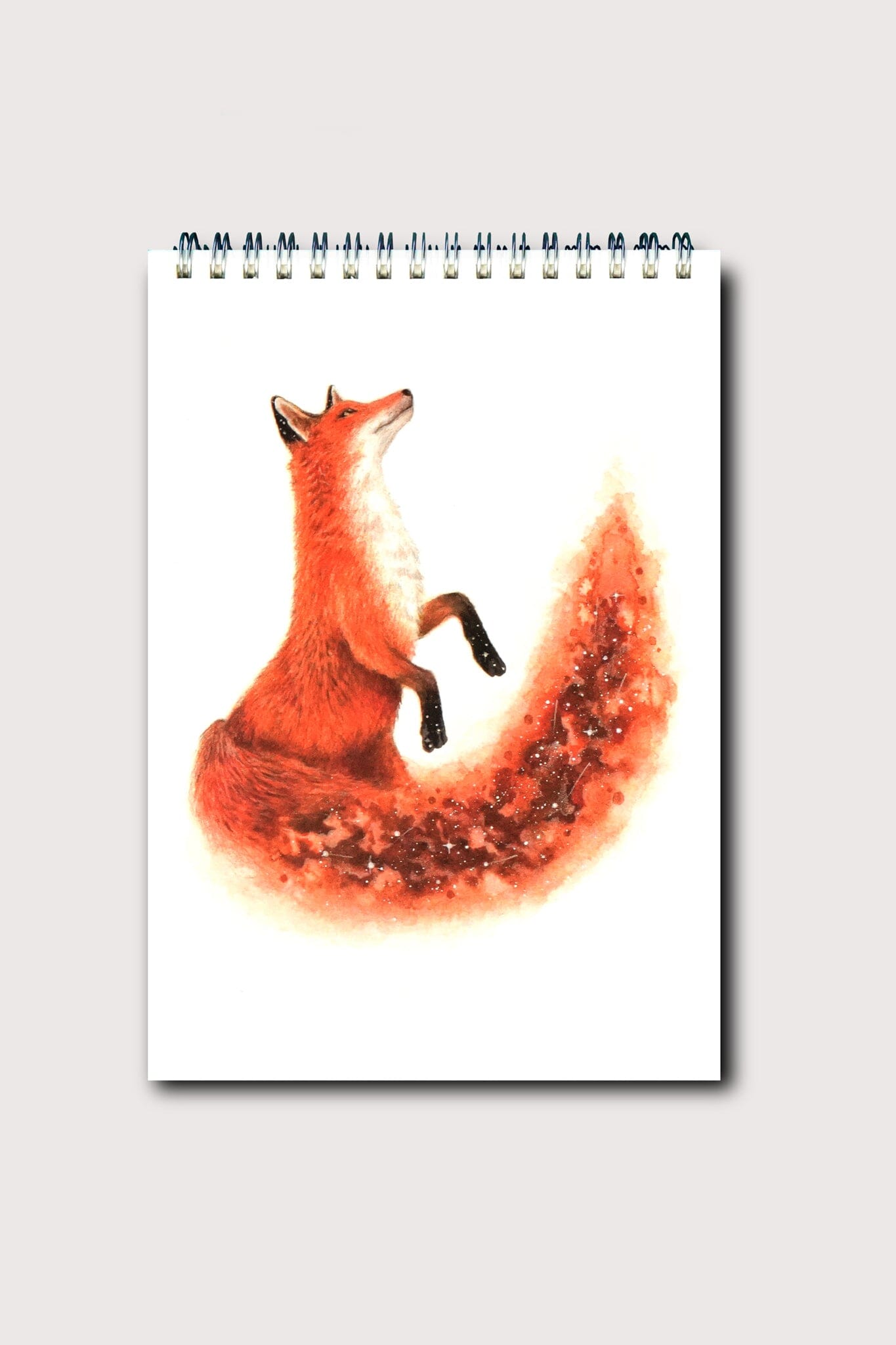 Cosmic Fox Sketchbook